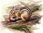 C.J.'s Gallery