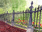 watercolor